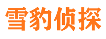 岱岳市婚姻出轨调查